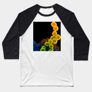 Neutrophil engulfing MRSA, SEM (C018/8597) Baseball T-Shirt